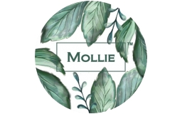 Mollie Sklep Online